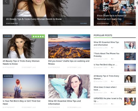 Blogging Wordpress Theme